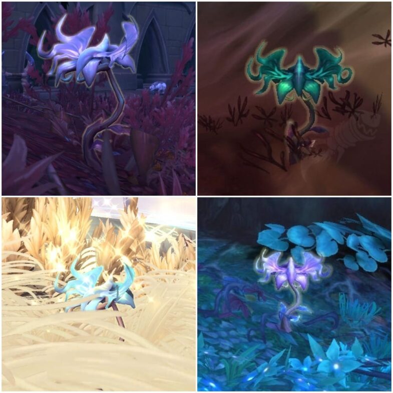The Item Death Blossom Shown in All Versions in WoW Shadowlands, Needed for Making Gold with Herbalism