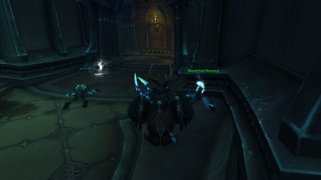 Soul Remnant and Anima Orb in Torghast shown in game
