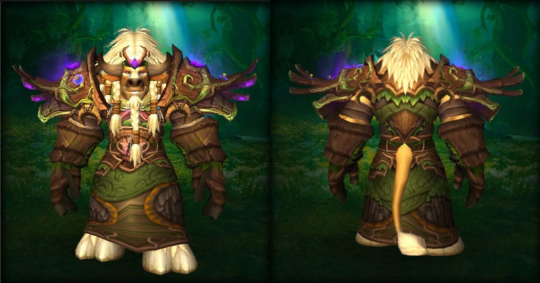 Druid Transmog Sets - Nordrassil Raiment